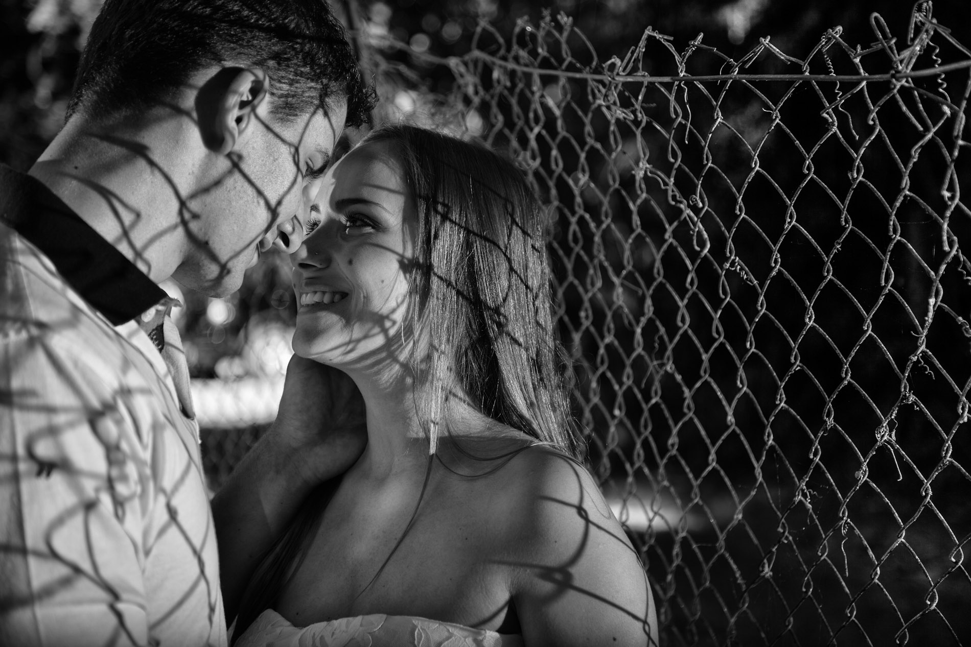 Amor